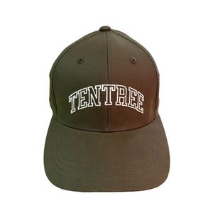 Vintage Tentree Olive Green Cap